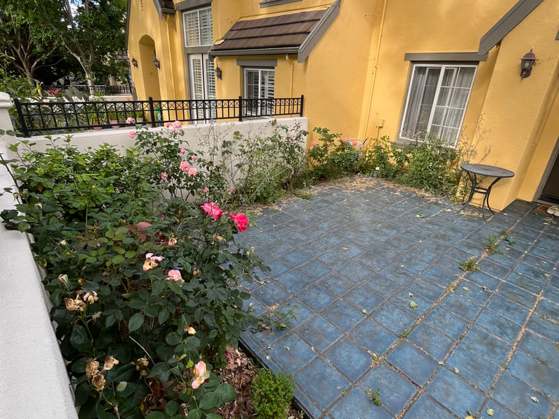 Planting bed before, overgrown and spilling onto the tile